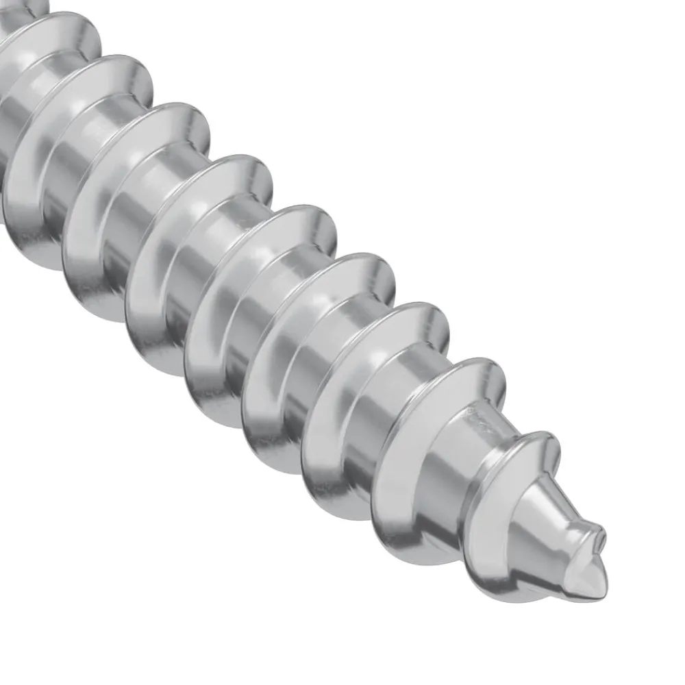 vidaXL Accesorios De Bricolaje-Tornillo de Madera 2 pcs Plateado 9,8 x 53 mm Acero