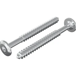 vidaXL Accesorios De Bricolaje-Tornillos de Madera 2 pcs Plateado M6 x 70 mm Acero