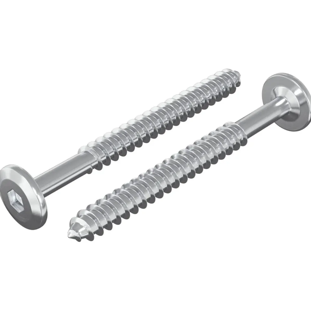 vidaXL Accesorios De Bricolaje-Tornillos de Madera 2 pcs Plateado M6 x 70 mm Acero