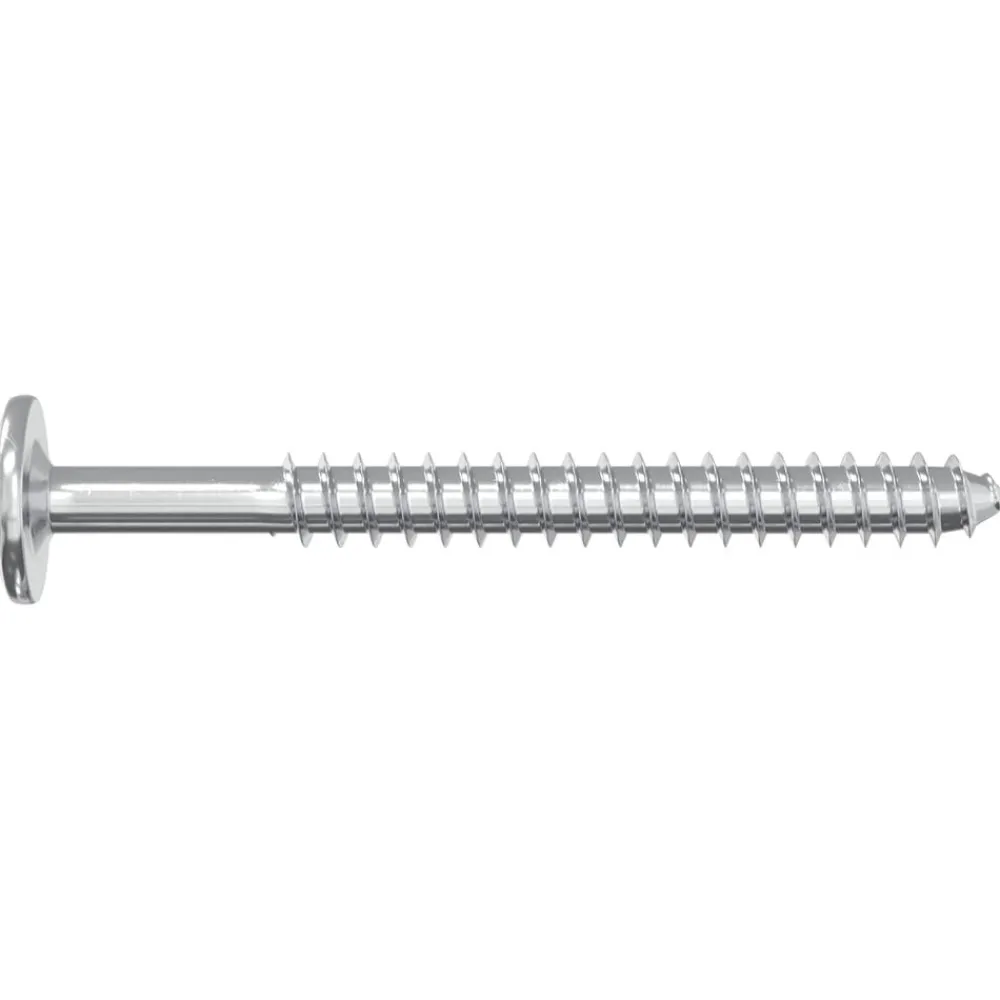 vidaXL Accesorios De Bricolaje-Tornillos de Madera 2 pcs Plateado M6 x 70 mm Acero