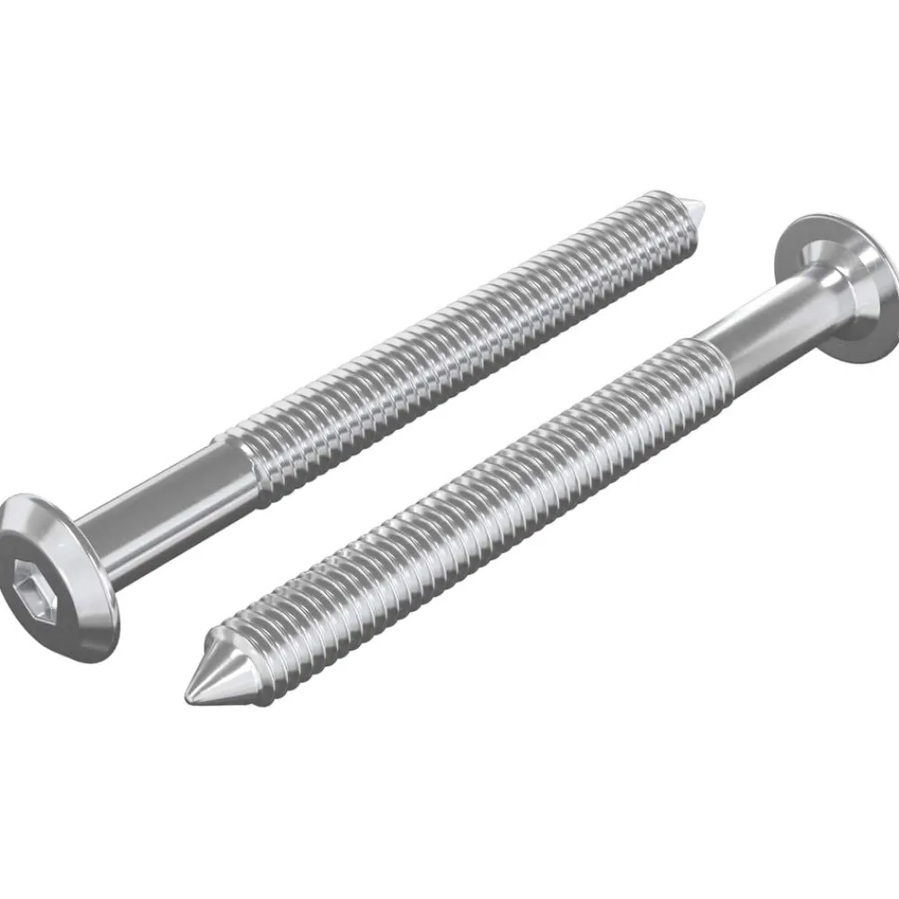 vidaXL Tornillos de Muebles 2 pcs Plateado M6 x 60 mm Acero New