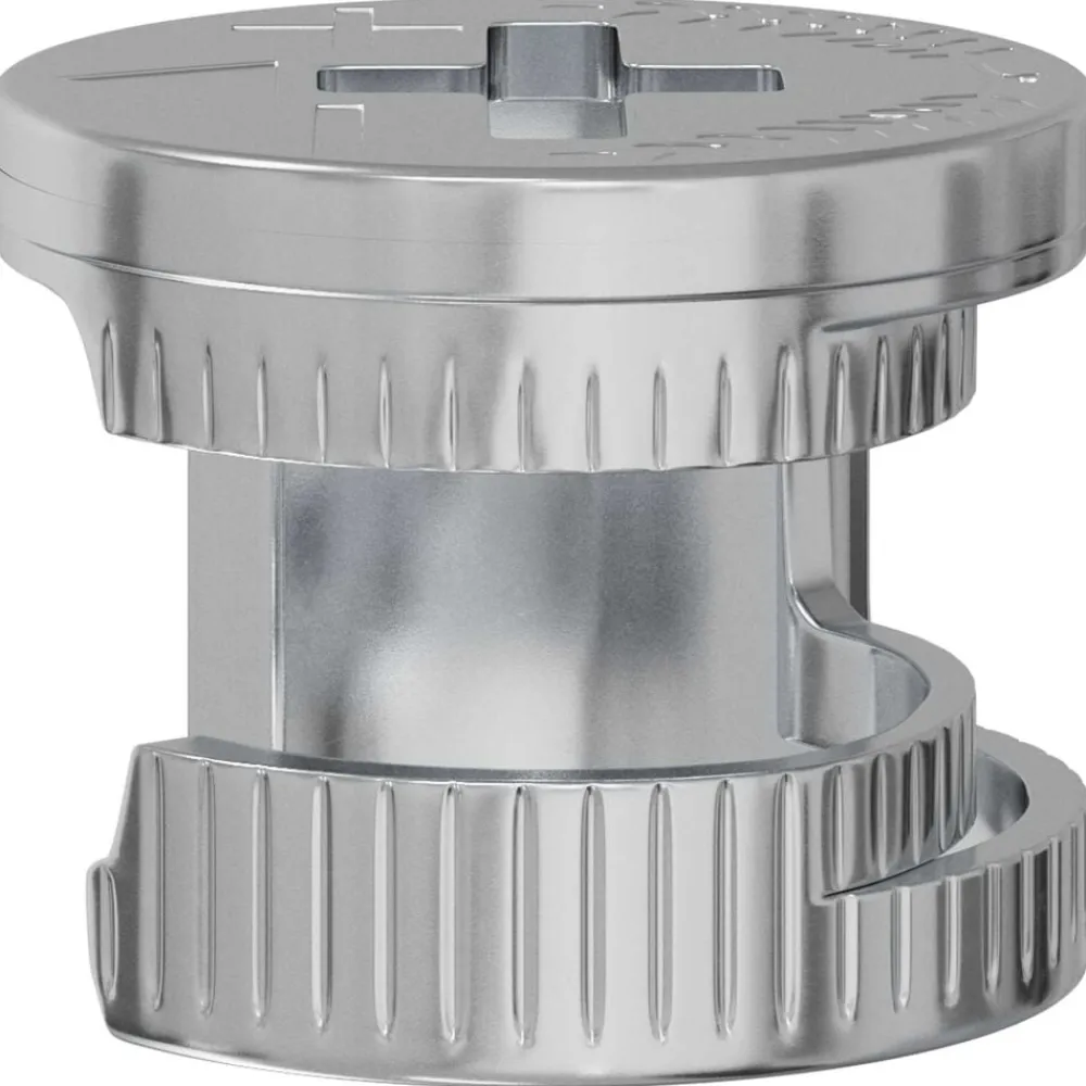 vidaXL Accesorios De Bricolaje-Tuercas de bloqueo de perno 2 pcs Plateado 12 x 10 mm Metal