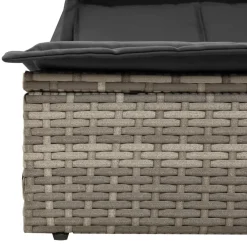 vidaXL Tumbona doble con capota y cojines ratán sintético Gris Best
