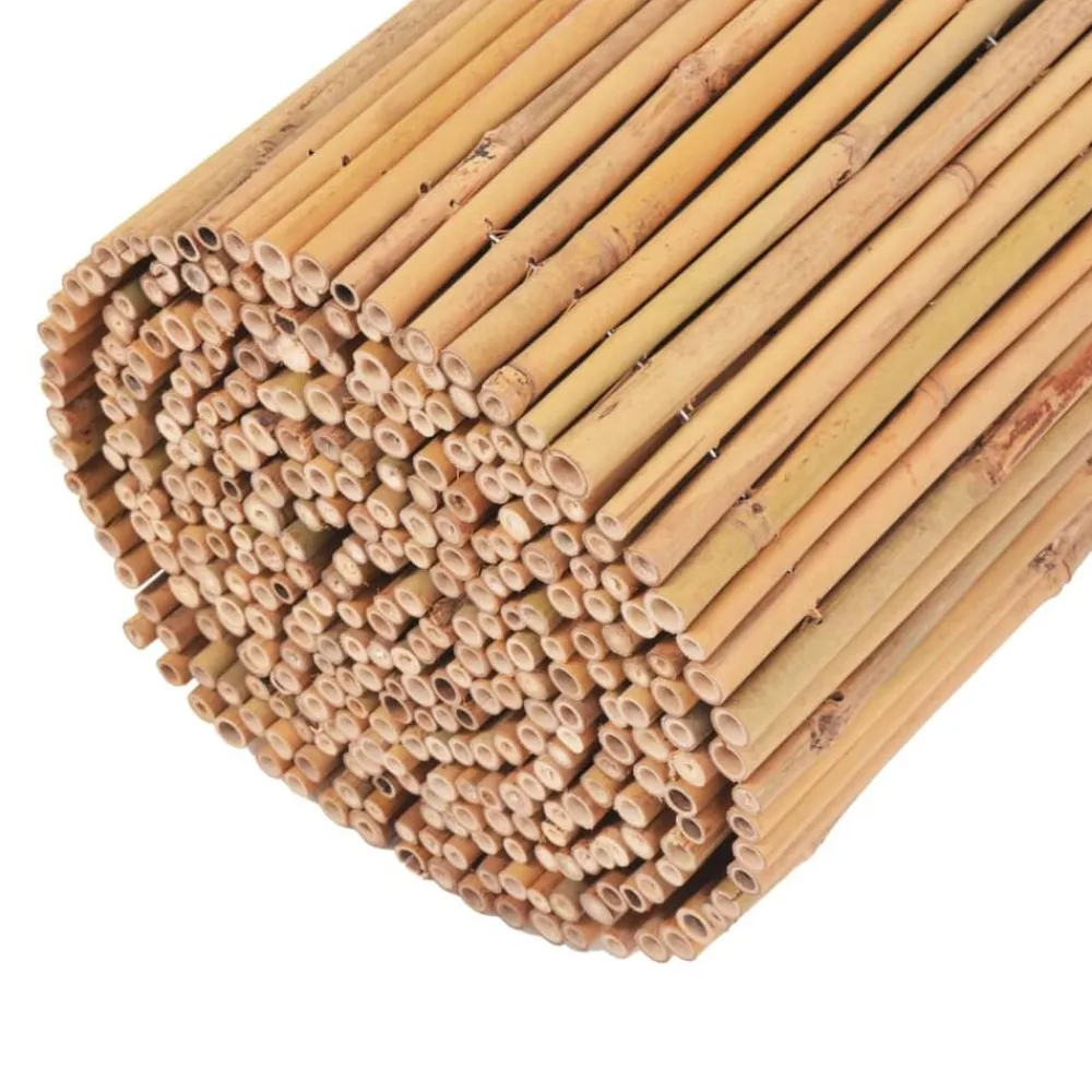 vidaXL Valla de bambú 500x30 cm Sale