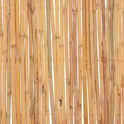 vidaXL Valla de bambú 500x30 cm Sale