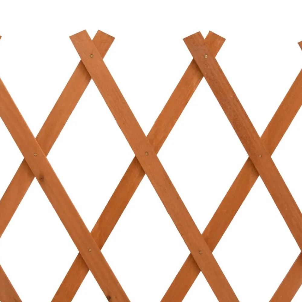 vidaXL Valla de jardín enrejada madera maciza abeto 120x60 cm Naranja