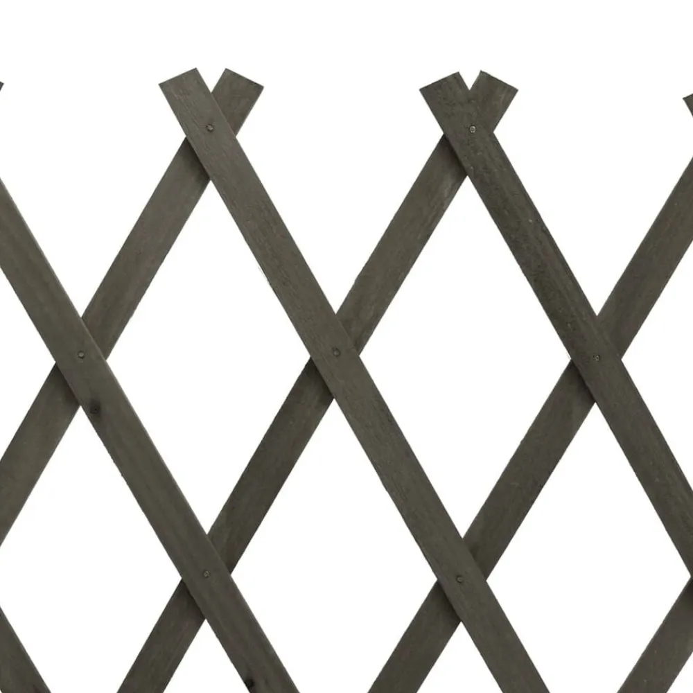 vidaXL Vallas De Jardín-Valla de jardín enrejado madera maciza de abeto 120x60 cm