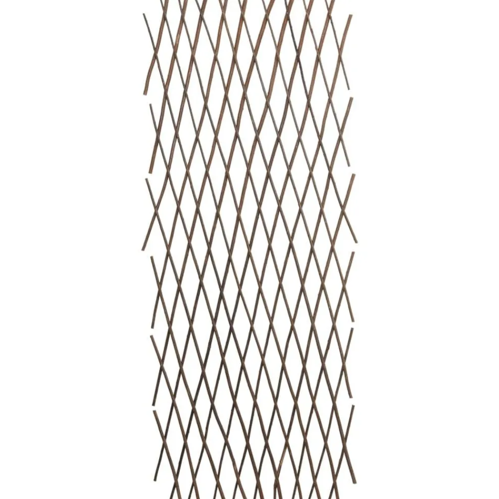 vidaXL Vallas enrejadas de sauce 5 unidades 180x120 cm Online