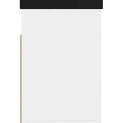 vidaXL Zapatero con cojín madera ingeniería 80x30x47 cm Blanco Best