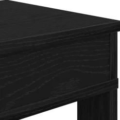 vidaXL Zapatero de madera de ingeniería 60x30x98 cm Negro Clearance