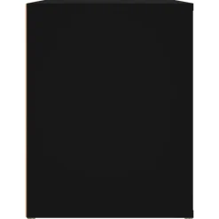 vidaXL Zapatero de madera contrachapada 100x35x45 cm Negro Best