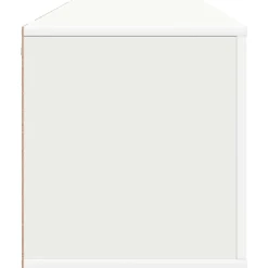 vidaXL Zapatero pared madera contrachapada 100x35x38 cm Blanco New